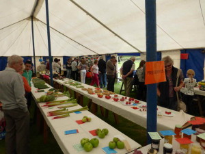 Thornton-le-Beans village show tent exhibits